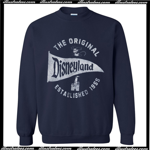 blue disneyland sweatshirt